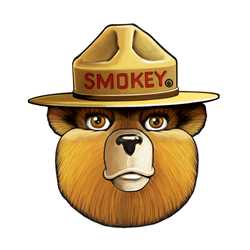 Smokey Bear Head Wall Cling firefighting, fire safety product, fire prevention, smokey, smokey bear, wall cling, smokey wall cling, durable, white vinyl, reusable, repositionable, self-adhesive