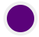 Purple - 2607 C
