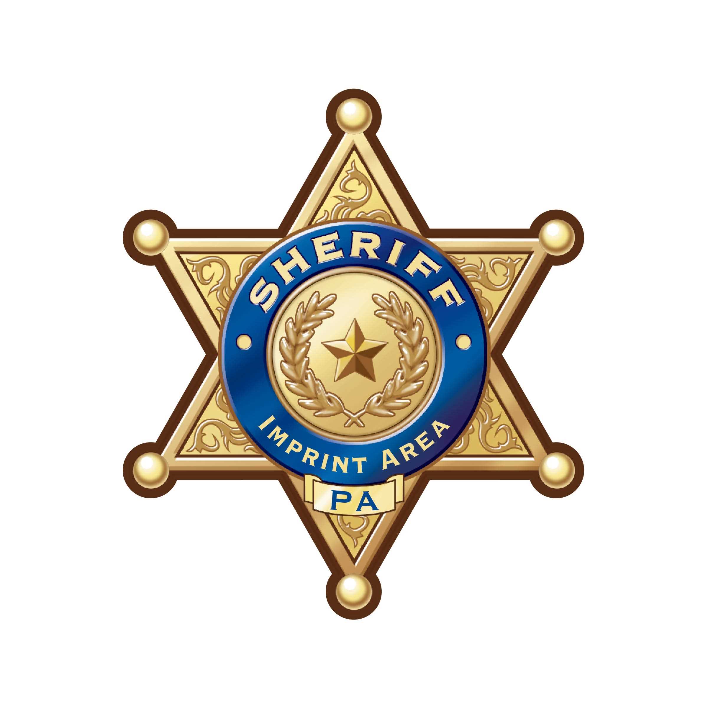 Gold 6 Point Sheriff Badge Shield 