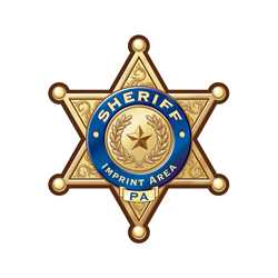 Custom Gold 6-Point Sheriff Sticker Badge Police, safety product, educational, sticker police badge, police officer badge, custom badge, custom police badge, custom sticker badge, custom gold badge, junior sheriff badge, sheriff badge, 