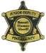 Custom Gold 6 Point Star Badge
