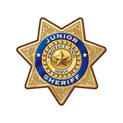 Gold 7-Point Sheriff Sticker Badge 