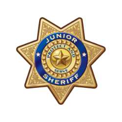 Gold 7-Point Sheriff Sticker Badge 