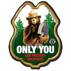 Smokey Bear Only You Can Prevent Wildfires Plastic Decal Badge firefighting, fire safety product, fire prevention, smokey, smokey bear, clip-on badge, badge, bear, stock