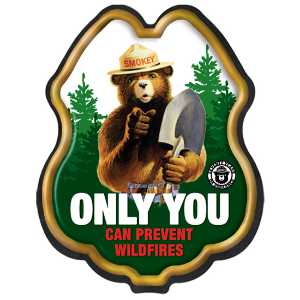 Smokey Bear® Only You Can Prevent Wildfires Plastic Decal Badge firefighting, fire safety product, fire prevention, smokey, smokey bear, clip-on badge, badge, bear, stock, Smokey Bear badge, wildfire prevention giveaway, Only You Can Prevent Wildfires sticker, kids fire safety badge, fire department promotional items, EMS community outreach, police event giveaways, plastic decal badge for children, public education materials