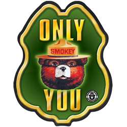 Smokey Bear Only You Green and Yellow Plastic Decal Badge firefighting, fire safety product, fire prevention, smokey, smokey bear, clip-on badge, badge, bear, stock