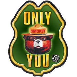 Smokey Bear Only You Green and Yellow Plastic Decal Badge firefighting, fire safety product, fire prevention, smokey, smokey bear, clip-on badge, badge, bear, stock, Smokey Bear badge, Only You sticker, wildfire prevention giveaway, kids fire safety badge, fire department promotional items, EMS community outreach, police event giveaways, plastic decal badge for children, public education materials